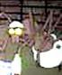 mcpeepants.jpg image by mcppants49